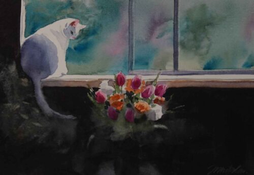 Curiosity