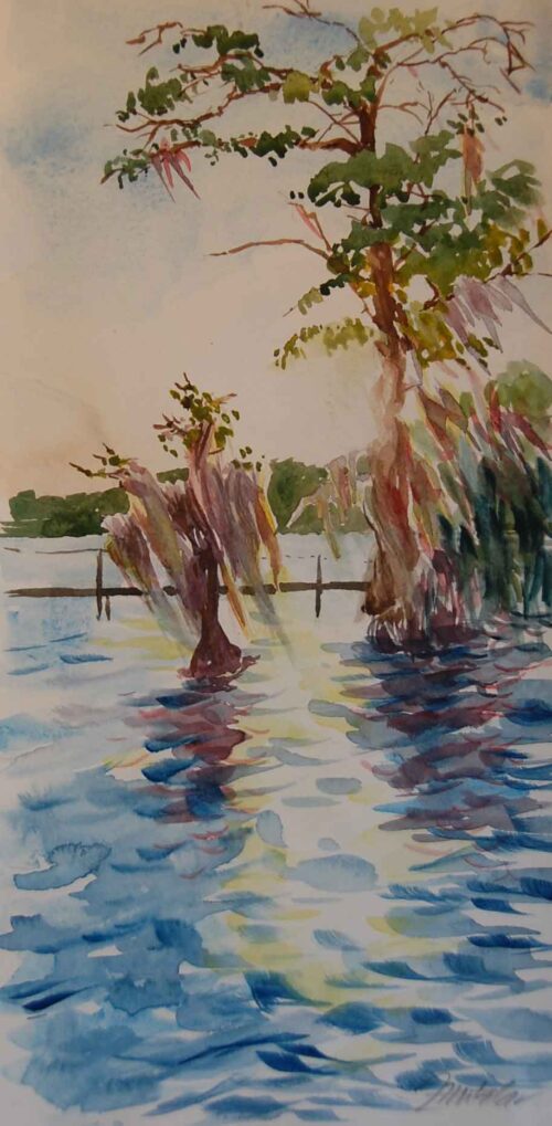 Spanish Moss