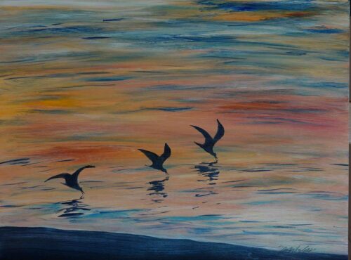 Sundown Skimmers